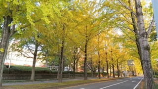 壬生町 (1).jpg