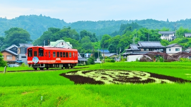 2024.10.28 第4週岐阜県のピンチランナーが決まりました
